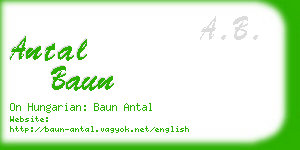 antal baun business card